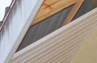 rated Fowley Common soffit repair companies